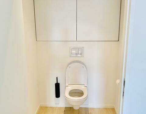 toilet